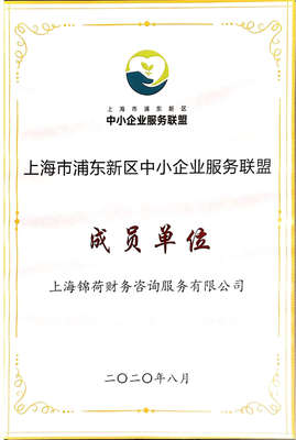 上海錦荷財(cái)務(wù)咨詢(xún)服務(wù) 專(zhuān)業(yè)引領(lǐng)，助您穩(wěn)健前行